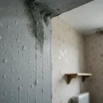 Condensation et moisissures sur un mur intérieur d'appartement causées par un pont thermique au niveau du plafond